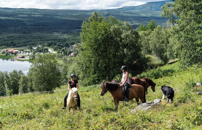 Parkstigens Lägenheter - Foto 36
