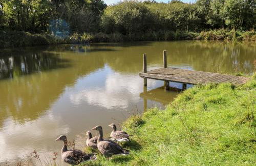 Saddlers Cottage, Berllandeg Farm - Foto 29