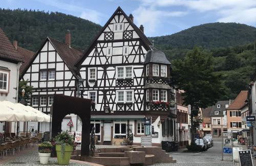 Ferienwohnungen Annweiler am Trifels - Foto 35