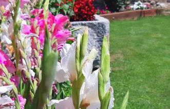 Cal Francès - Foto 24