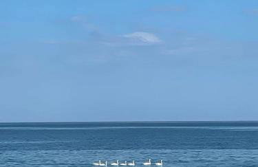 Maisonette on the beach with small garden - Foto 57