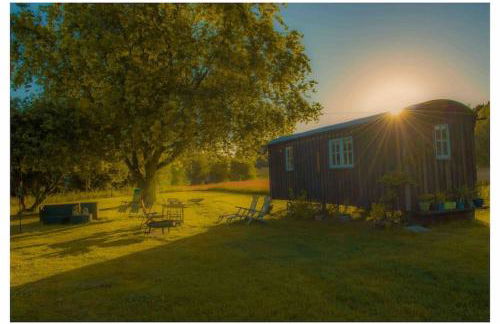 Mountbatten Shepherds hut & Buckhurst Shepherds hut - Foto 11