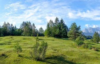 Ferienwohnungen Arnika - Foto 9