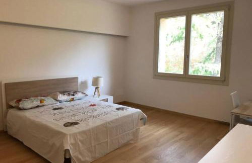 Al picchio verde - Foto 12