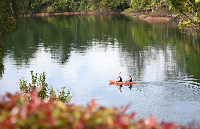 La trinidad - Foto 47