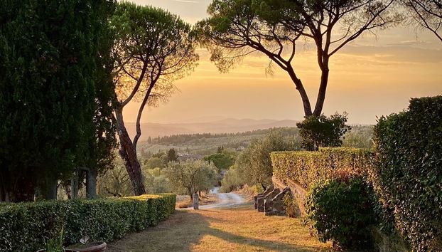 Fattoria Santo Stefano - Agriturismo - Foto 2, Imagen principal