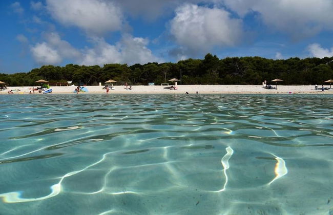 Zvone - at the Water Front - A1 - Photo 28