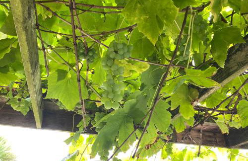 The DeerView Lodge - Foto 26