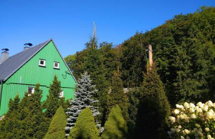 Grünes Ferienhaus - Foto 36