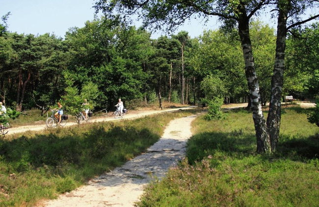 Holiday Home in Holten Near Lake Ijssel - Foto 35