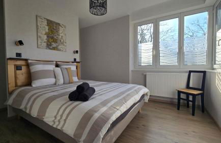 Côté Châteaux au Centre Alsace - Foto 17