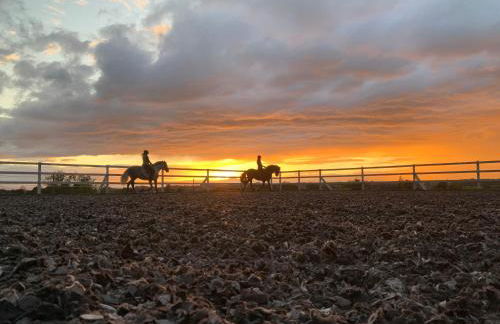 Linda‘s Ferien-Pferdehof - Foto 19