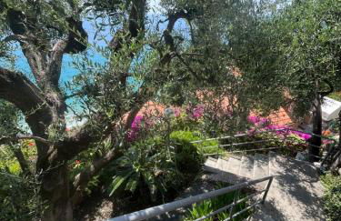 Casa Monnalisa - Calandre Sabbie Oro - Foto 16