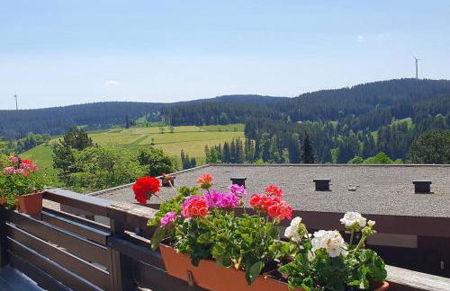 Black Forest Schwarzwaldliebe Pool Sauna Tennis Tischtennis Wifi Prime Tv Natur - Foto 21