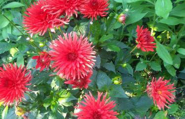 Agroturystyka u Miłosza - Foto 11