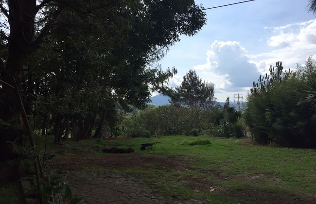 Cabañas Los Adobes - Foto 25