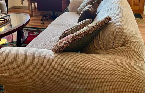 Downtown Historic East-Side Coyote House 2B 2BA - Foto 39