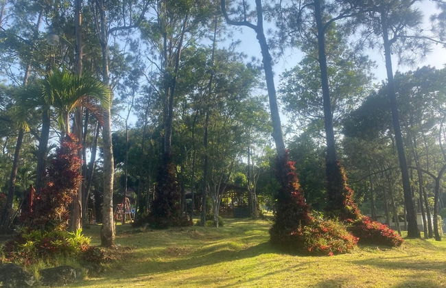 Brisas de los Alpes - Foto 13