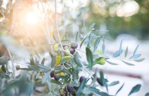 Fairy of Velebit unique countryside house - Photo 61