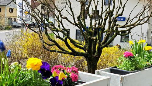 Ferienappartement Austen - Foto 3