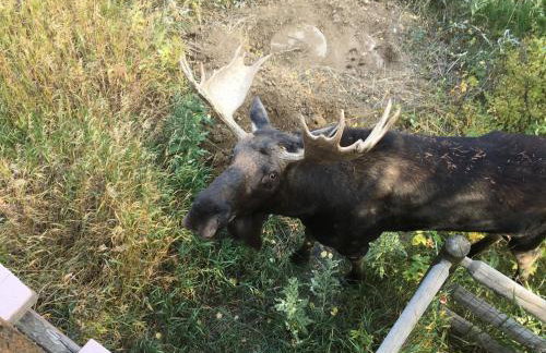 Valley View Vistas lodge - Foto 30