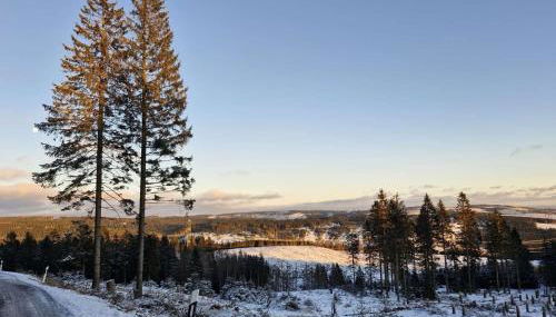 Ferienwohnung Am Blessberg in Stelzen - Foto 3