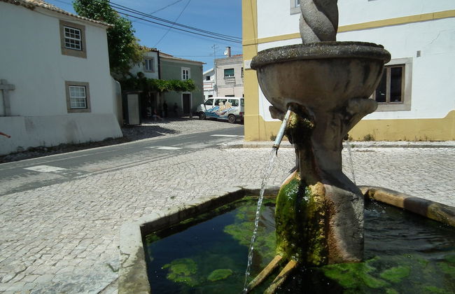 Casa da Palma - Foto 30