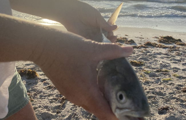 Lands Edge - Photo 23