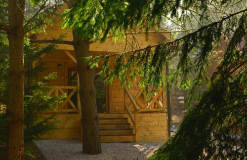 Mazury - Giżycko - Harsz - Domki - ApartMazury Osada - Foto 69