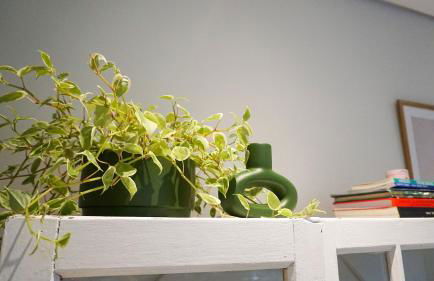 Studio Central - São Sebastião - Foto 74