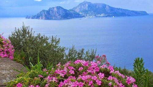 Tessa's Holiday - Photo 3