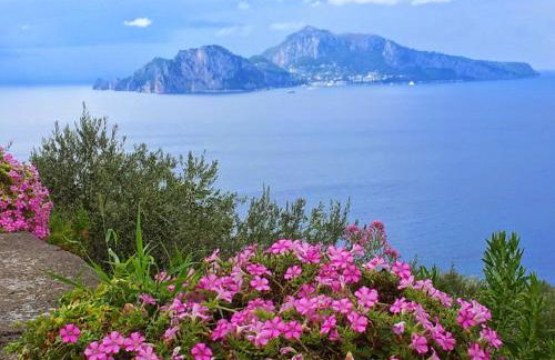 Tessa's Holiday - Photo 3