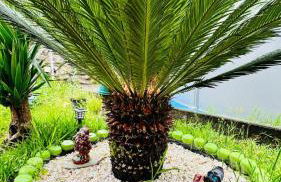 Casa a Voada - Rural con Piscina Privada, Barbacoa y Juegos - Foto 19