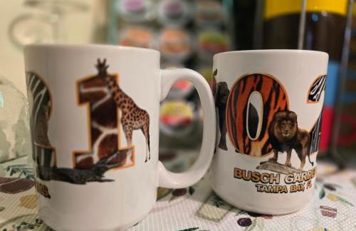 Jungle Oasis By Busch Gardens USF and Amphitheater - Foto 12