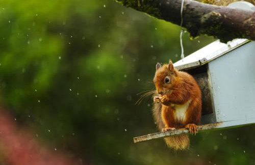 Elm Tree Cottage - Photo 10