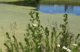 Cuda Wianki Mazury - Foto 59