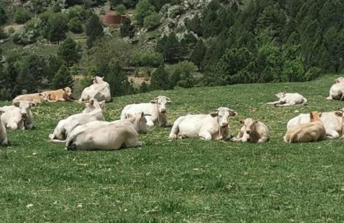 ENJOY VALDELINARES - Foto 37