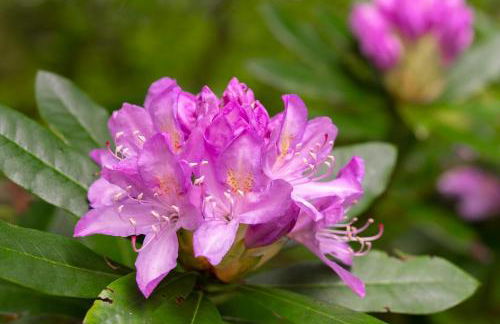 The Courtyard - Foto 25