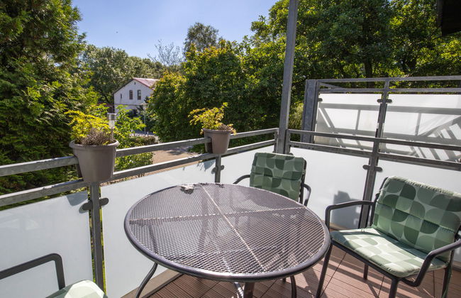 Austernfischer - Foto 5