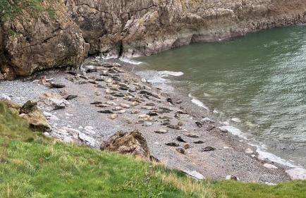 Gardd Y Llys Luxurious Family Retreat with amazing views - Foto 36