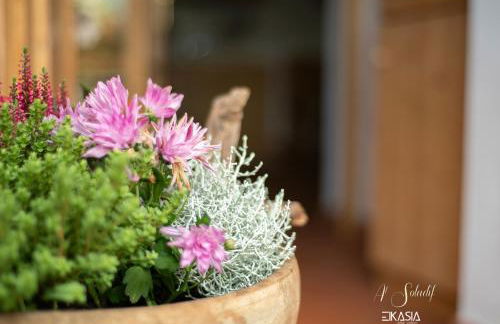 Al Soladif - Mansarda con vista - Foto 42