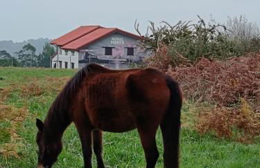 Rural Norte - Foto 30