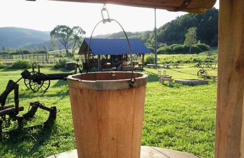 Domki w Bieszczadach - Foto 43