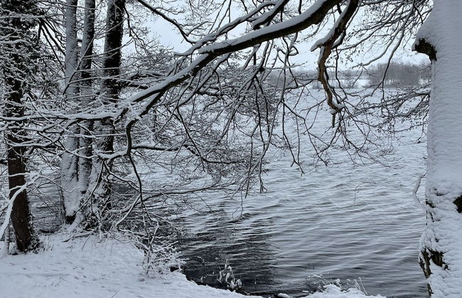 Flat in Eutin on the Kleiner Eutiner See Lake - Photo 18