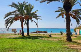 Sol Mediterráneo - Palm Beach 4 - Photo 12