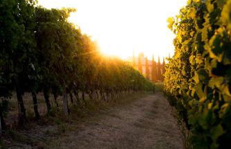 Residenza Cà d´Masseu - Foto 36