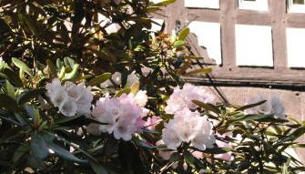 Lieblingsplatz - Foto 3