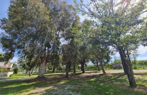 Casa del Mare - Riviera dei Tramonti - 150 mt dalla spiaggia - Foto 25