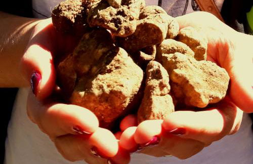 Agriturismo Renello - Foto 54