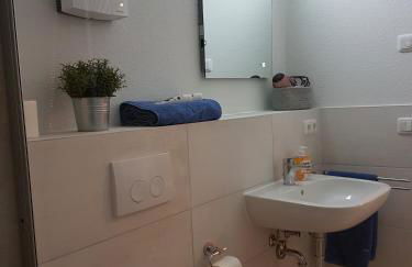 Sonnenstrahl im Küstenwald - Foto 12